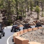 Tenerife: SUNSET - 3H Buggy tour of Teide - Value and Practical Considerations