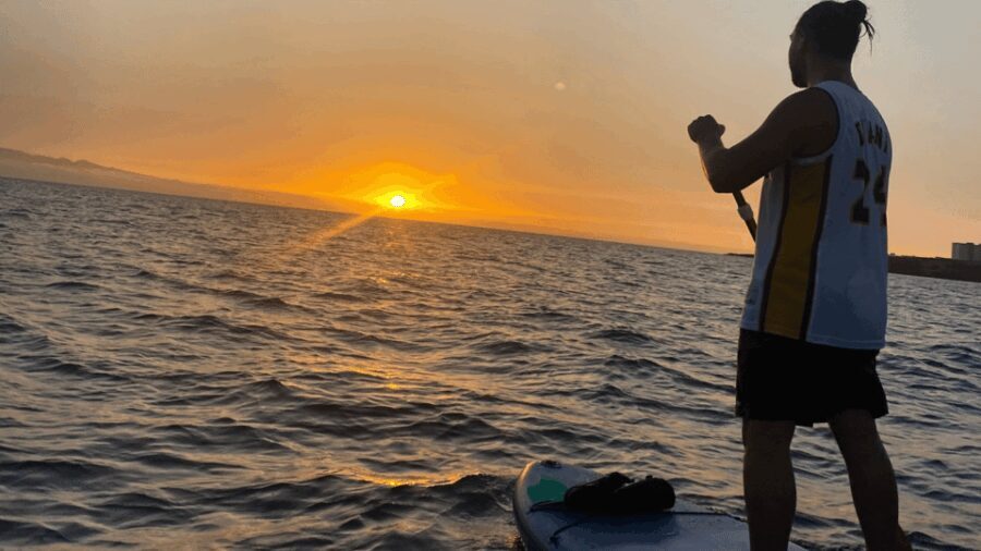 Tenerife: Sunset Stand-Up Paddleboarding Tour - The Route and Highlights