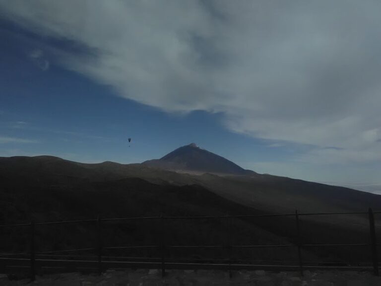 Tenerife: Teide Essentials and La Orotava Shore Excursion - Who Is This Tour Best For?