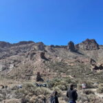 Tenerife: Teide National Park Excursion Teide Tours in a VIP 4x4 Jeep - Who Should Consider This Tour?