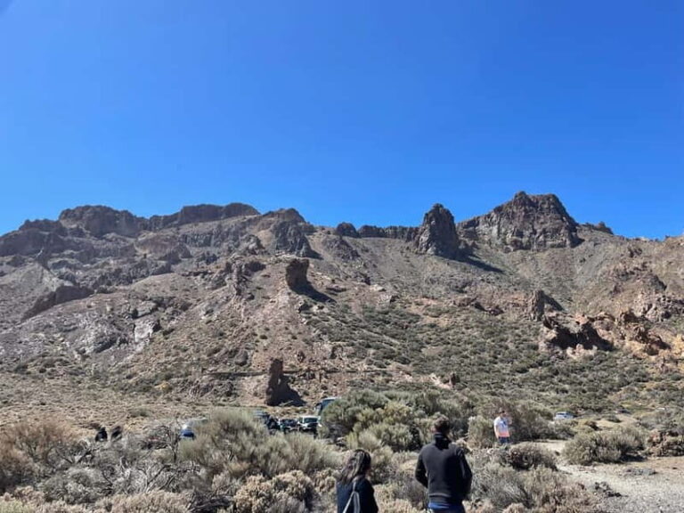 Tenerife: Teide National Park Excursion Teide Tours in a VIP 4x4 Jeep - Who Should Consider This Tour?