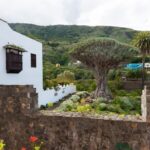 Tenerife: Teide National Park Full-Day Tour with Pickup - What Makes This Tour Stand Out?