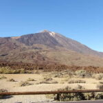 Tenerife: Teide Quad Trip (day/sunset) with drink - Why This Tour Works for Different Travelers