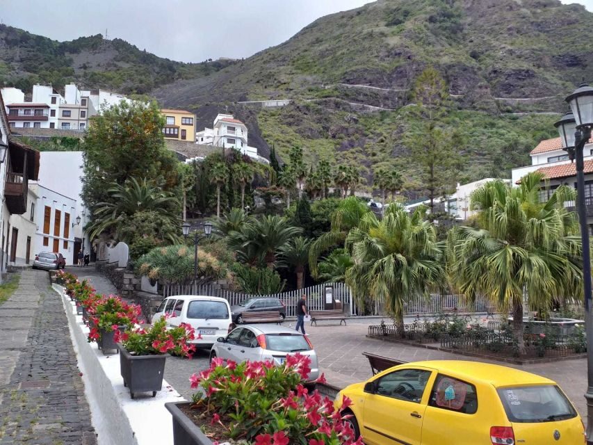 Tenerife: Tenerife Highlights beyond the Teide - Pricing and Value