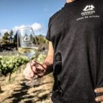 Tenerife: Tour of an Organic Vineyard with Tasting & Snacks - Why This Tour Is a Great Choice