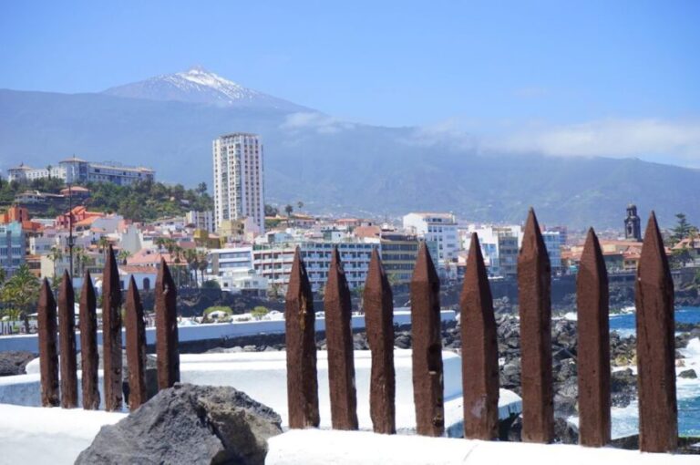 Tenerife: Trip to Puerto de la Cruz - Practicalities and Tips