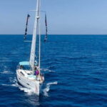 Tenerife Whale Watching and Snorkeling Yacht Trip - Who Will Appreciate This Experience Most?