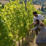 Tenuta Bonzara - Tour and wine tasting in the hills of Bologna - The Itinerary: What’s Included in the Bonzara Experience