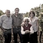 Tenuta San Lorenzo: classic wine tasting and winery tour - Why This Tour Works for Travelers
