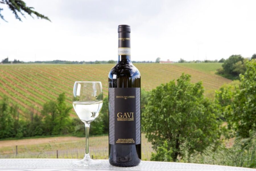 Tenuta San Lorenzo: Wine & Food Tasting Experience - Practical Details and Tips for Visitors