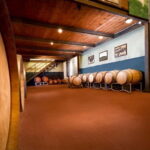Tenuta San Vito: Organic Wine Tasting with Tuscan Cold Cuts - The True Value of the Experience