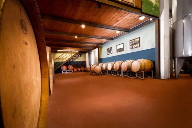 Tenuta San Vito: Organic Wine Tasting with Tuscan Cold Cuts - The True Value of the Experience