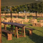 Tenute di Fraternita - Wine tasting in the Arezzo countryside - A Deep Dive into the Tenute di Fraternita Experience