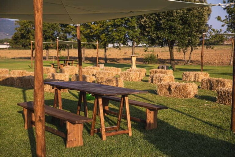 Tenute di Fraternita - Wine tasting in the Arezzo countryside - A Deep Dive into the Tenute di Fraternita Experience