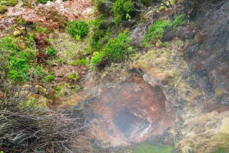 Terceira: Algar do Carvão Lava Caves Tour - Authentic Guides and Memorable Interactions