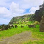 Terceira Island: Baías da Agualva Hike + Picnic + Biscoitos - Who Will Love This Tour?