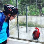 Terceira Island : Electric Bike Tour Monte Brasil - The Ride Up to Monte Brasil