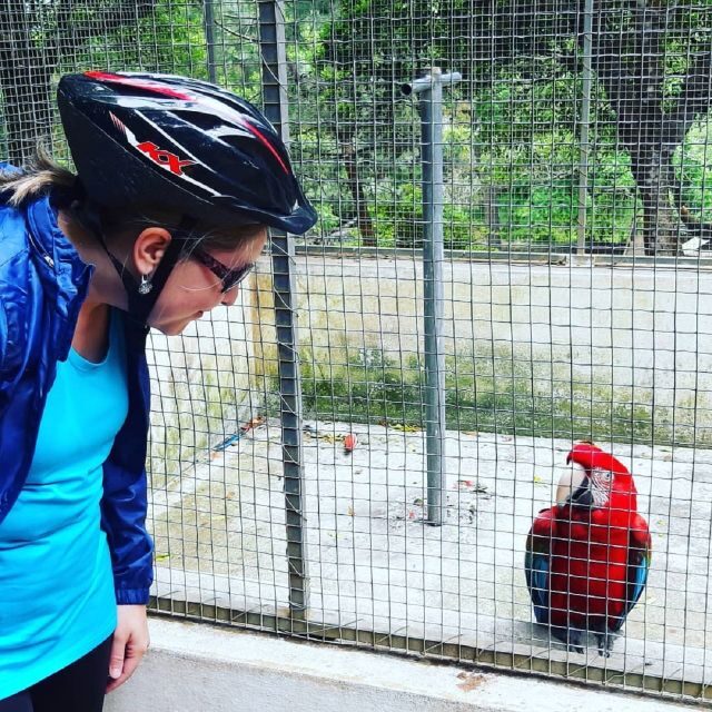 Terceira Island : Electric Bike Tour Monte Brasil - The Ride Up to Monte Brasil