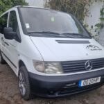 Terceira Island: Full Day Van Tour with Traditional Lunch - The Value of This Full-Day Tour