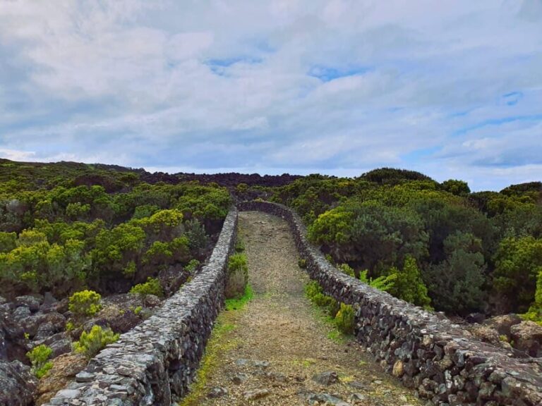 Terceira Island Half Day Hiking Trail: Baías da Agualva - Why This Trail Is Special