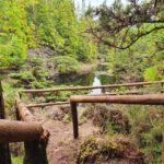 Terceira Island Half Day Hiking Trail: Mistérios Negros - Practical Aspects: What You Should Know