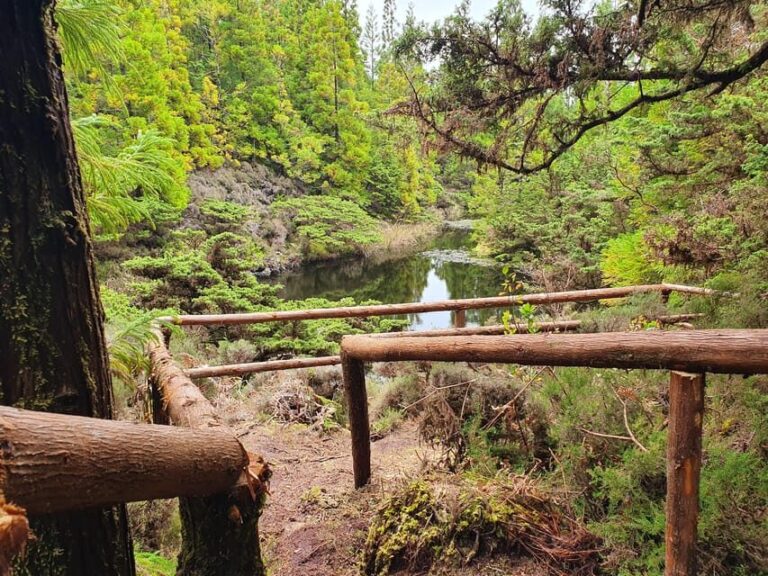 Terceira Island Half Day Hiking Trail: Mistérios Negros - Practical Aspects: What You Should Know