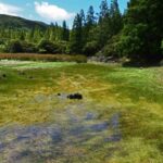 Terceira Island: Mistérios Negros Hiking - Authentic Insights from Past Participants
