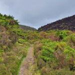 Terceira Island: Mistérios Negros & Mist. Novo Hike w/picnic - The Sum Up
