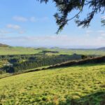 Terceira Island: Passagem das Bestas Hike w/Cheese Tasting - The Circular Route: A Close-Up of Volcanic Beauty