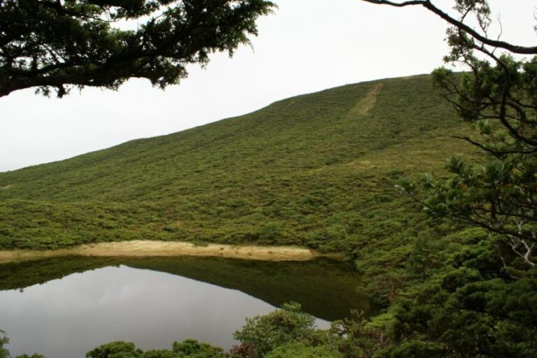 Terceira Island: Walking Trails Hiking Tour - Pricing and Value