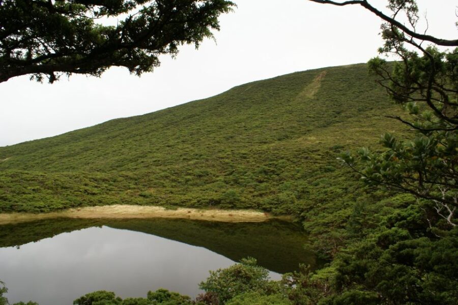 Terceira Island: Walking Trails Hiking Tour - Pricing and Value