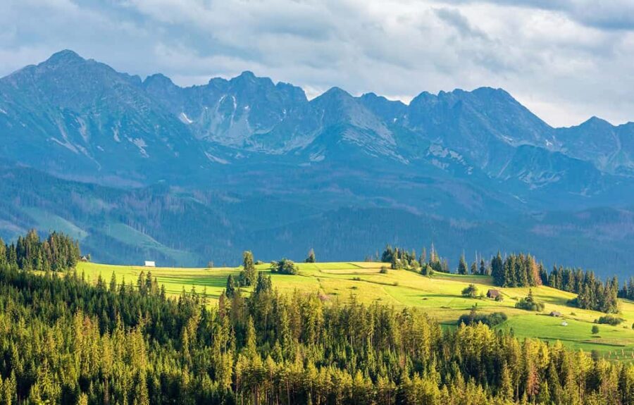 Termy Szaflary All-Day Entry Tickets with Picnic for 2 - An In-Depth Look at the Termy Szaflary Experience