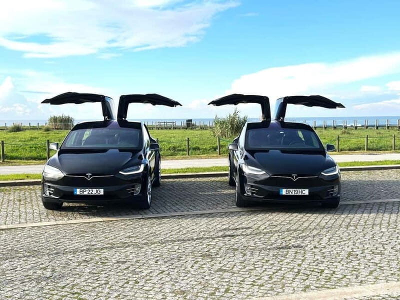 Tesla Premium Private Tours - Porto to Douro Valley - Is This Tour Worth It?