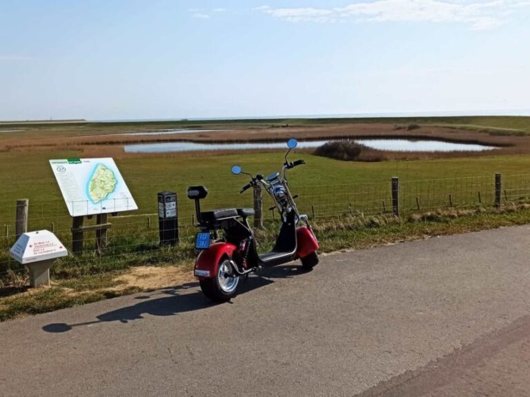 Texel: E-Scooter Rental - The Sum Up