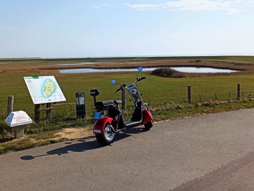 Texel: E-Scooter Rental - The Sum Up