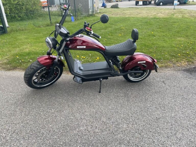 Texel: Explore Texel with a Café Cruiser E-scooter - The Route and What You’ll See