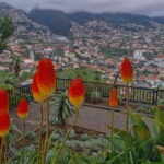 THE AMAZING OFF ROAD BBQ PICNIC CABLE CAB TOUR - What Makes This Tour Stand Out