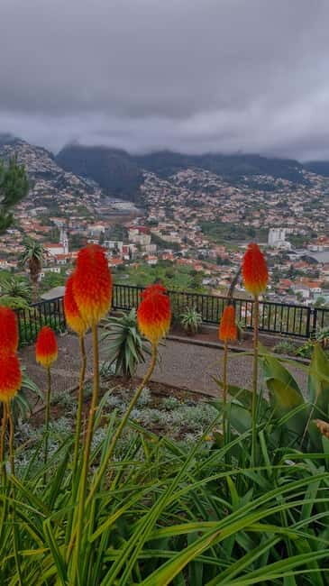 THE AMAZING OFF ROAD BBQ PICNIC CABLE CAB TOUR - What Makes This Tour Stand Out