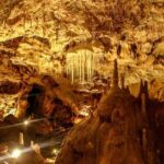 The Bear's cave: 1 day airconditioned car tour from Oradea - The Ethnographic Museum: A Cultural Bonus