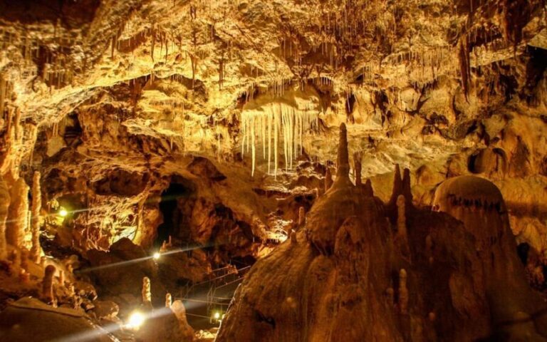 The Bear's cave: 1 day airconditioned car tour from Oradea - The Ethnographic Museum: A Cultural Bonus