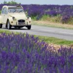 The best of Provence: 4-day tour - Key Points