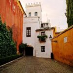 The Cultures of Seville Walking Tour - What Travelers Say