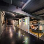 The Expression Tour: Visit & wine tasting. - The Wines and Their Significance