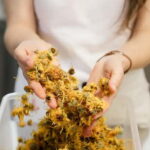 The flavours of Greece Tasting: Spot on the map and discover - Why You Should Consider This Tour