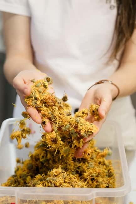 The flavours of Greece Tasting: Spot on the map and discover - Why You Should Consider This Tour