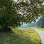 The forest as an Escape Room for the whole family - A Step-by-Step Look at the Experience