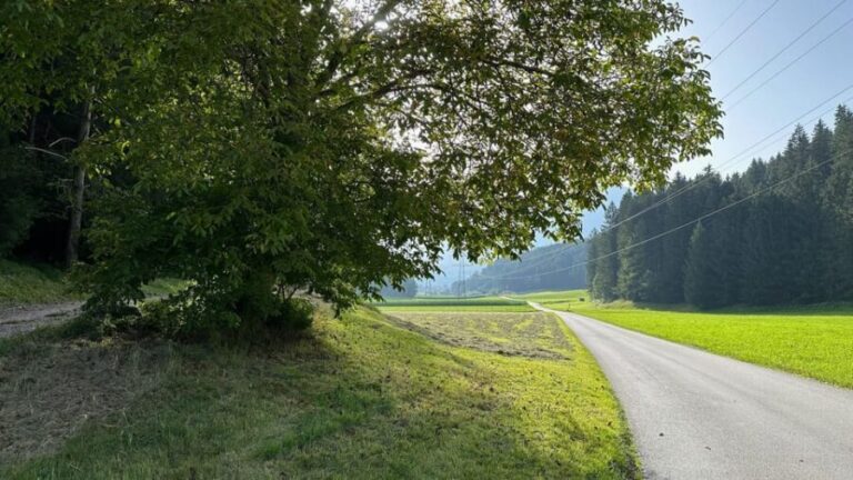 The forest as an Escape Room for the whole family - A Step-by-Step Look at the Experience