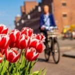 The Hague: Express Walk with a Local in 60 minutes - Who Should Consider This Tour?