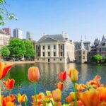 The Hague: Insta-Perfect Walk with a Local - Evaluating the Value