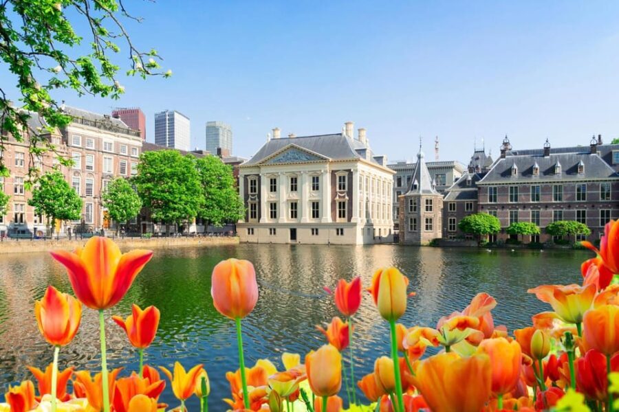 The Hague: Insta-Perfect Walk with a Local - Evaluating the Value